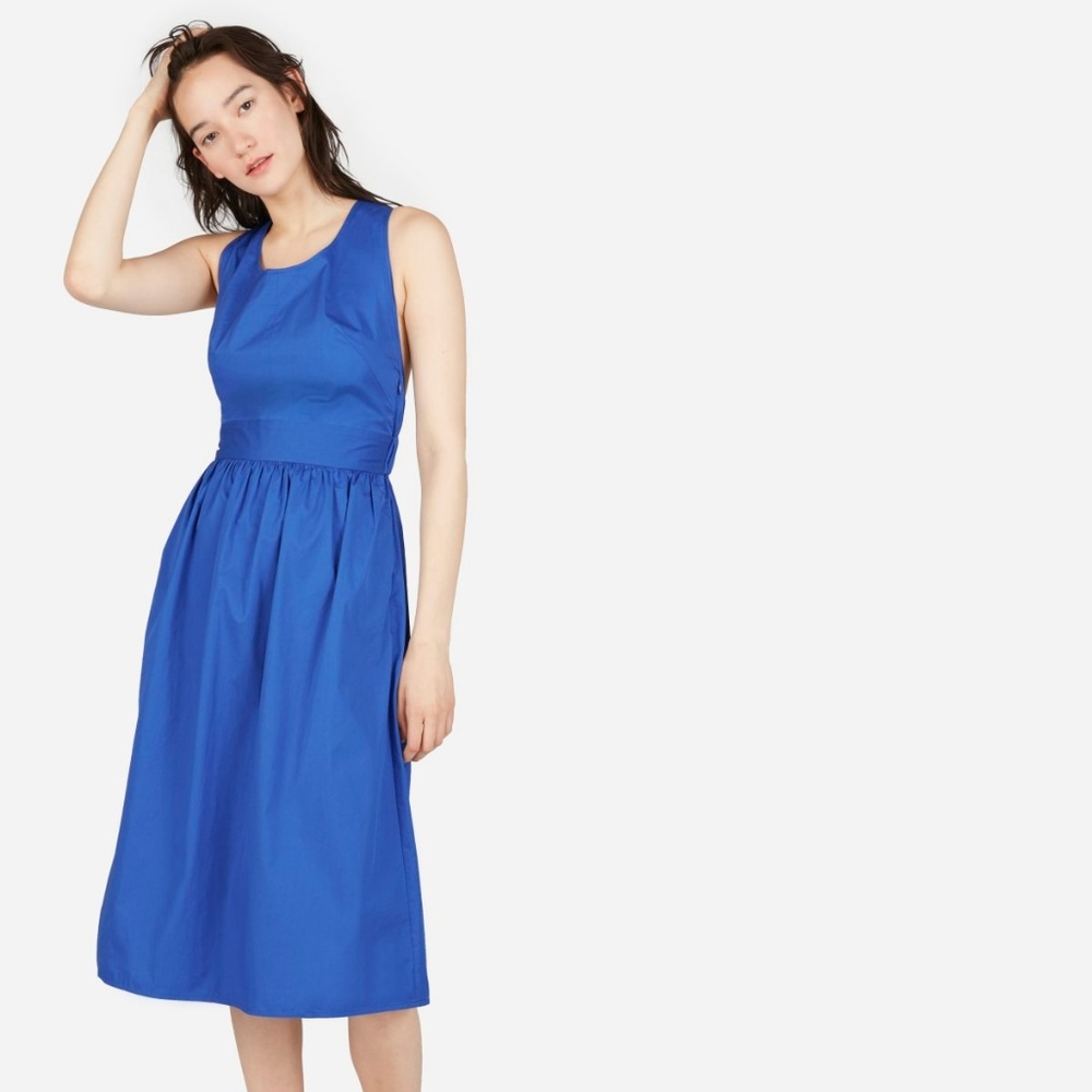 Beautiful Everlane Cotton Dress